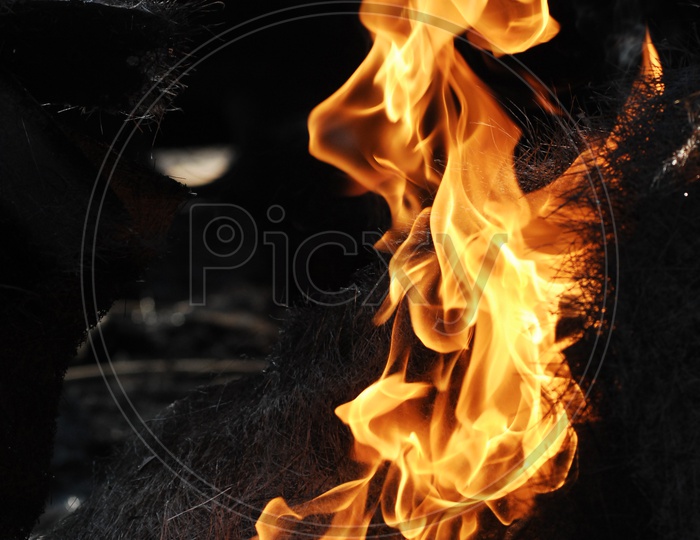 Close up shot of Fire Flames