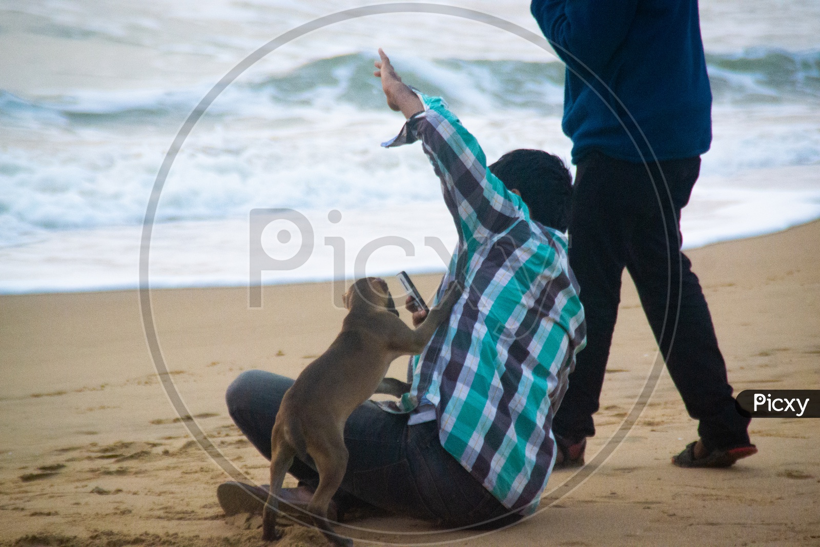 Dog taking selfie of a man