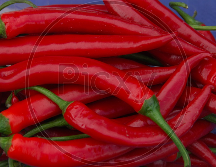 Indian red Chillies Closeup Shots