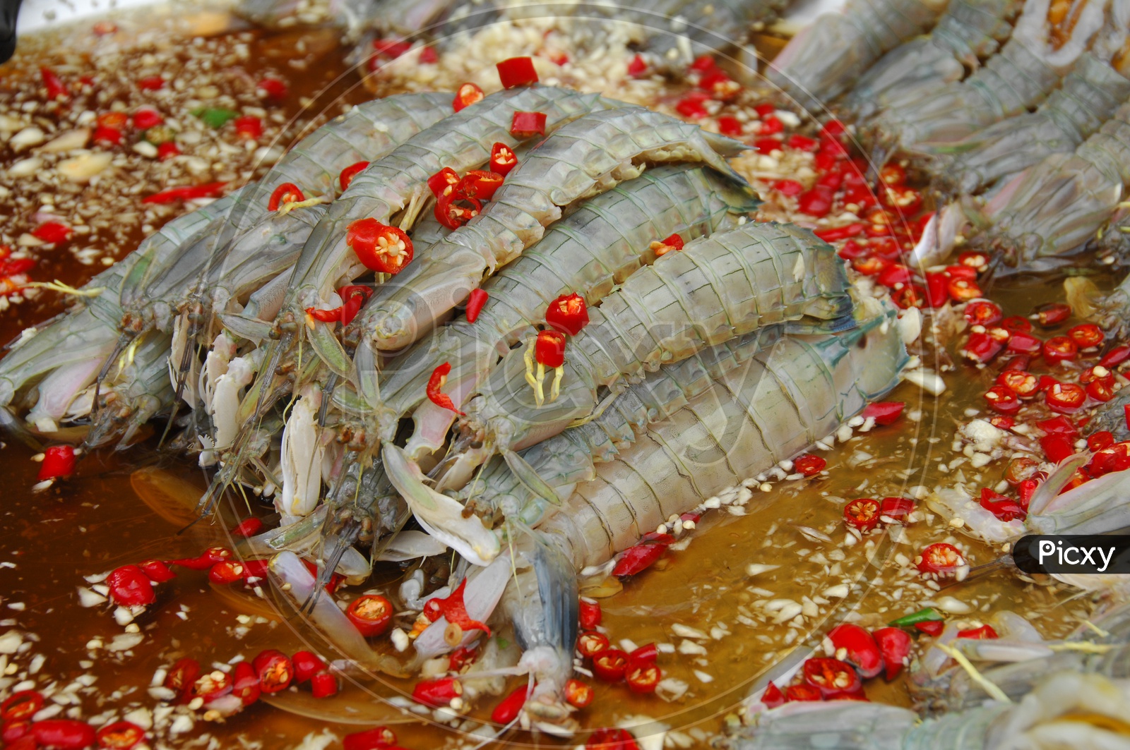 Lobster or king Prawn  Dish