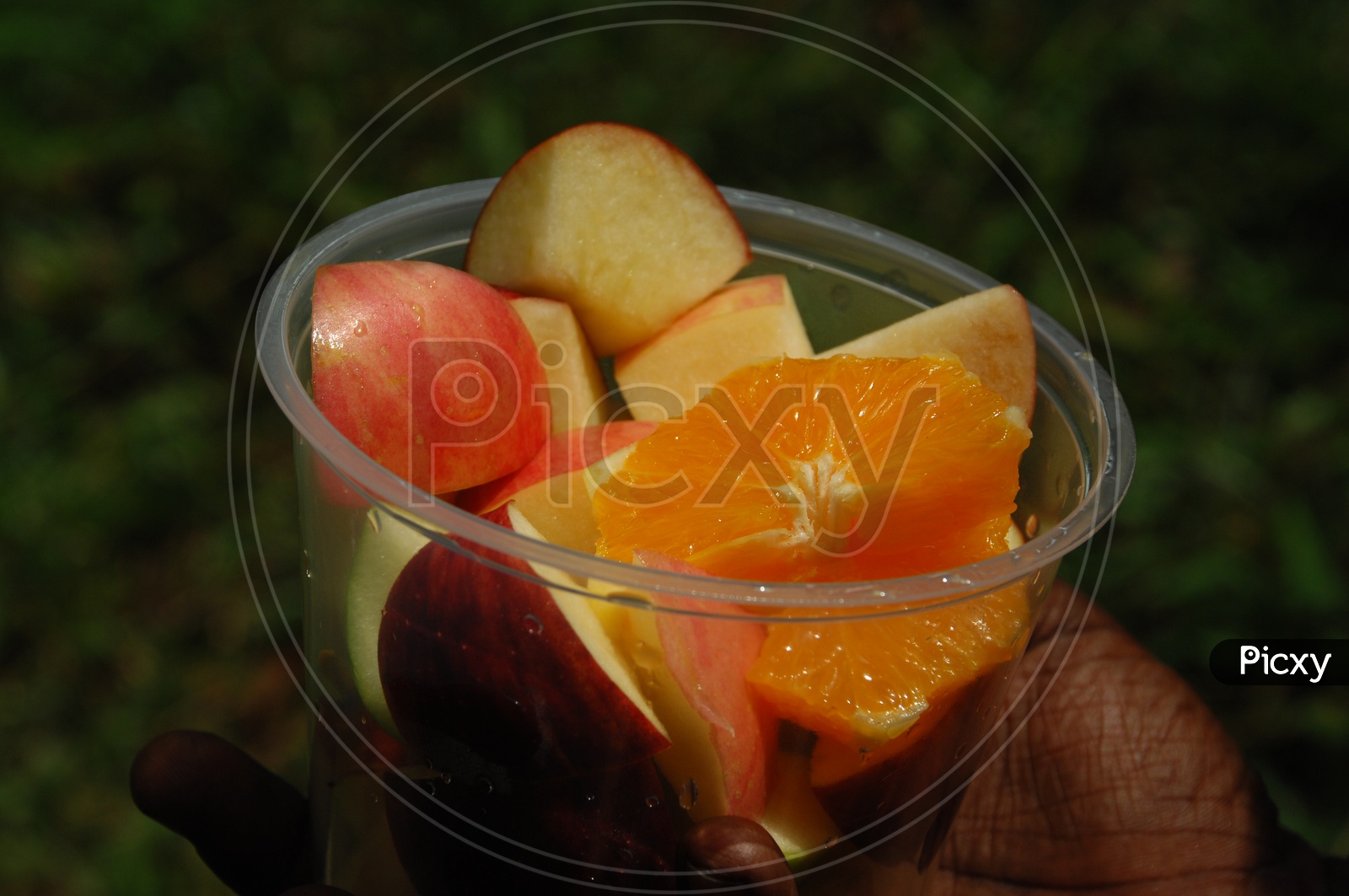 Apple and Orange fruit pieces in a plastic cup