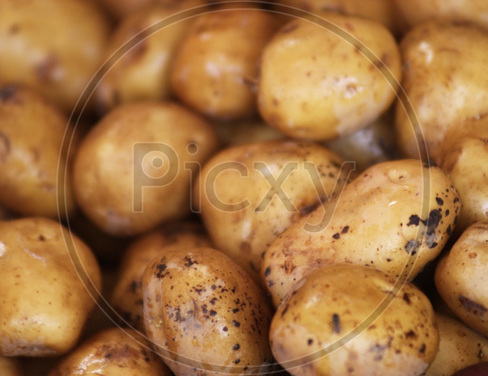A set of potatoes