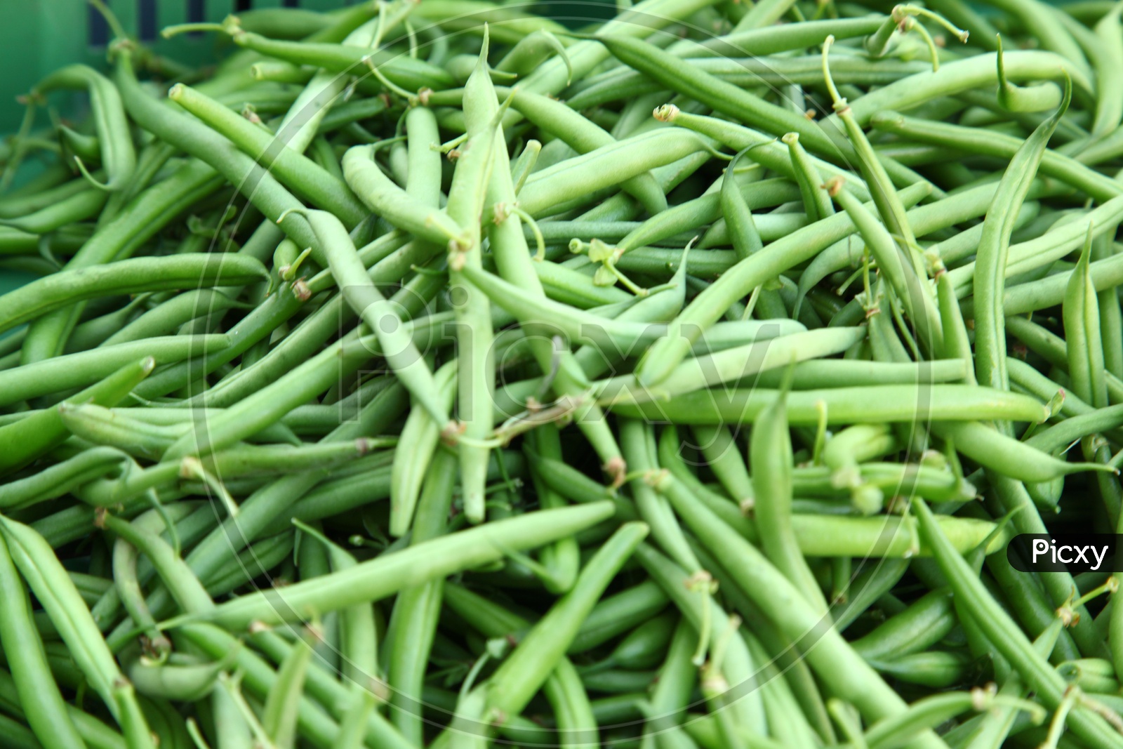Green beans