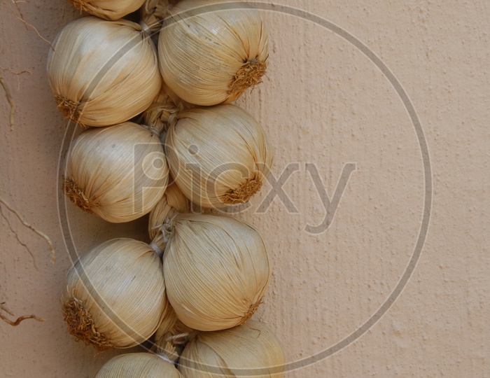 Garlic braids against a light textured wall background