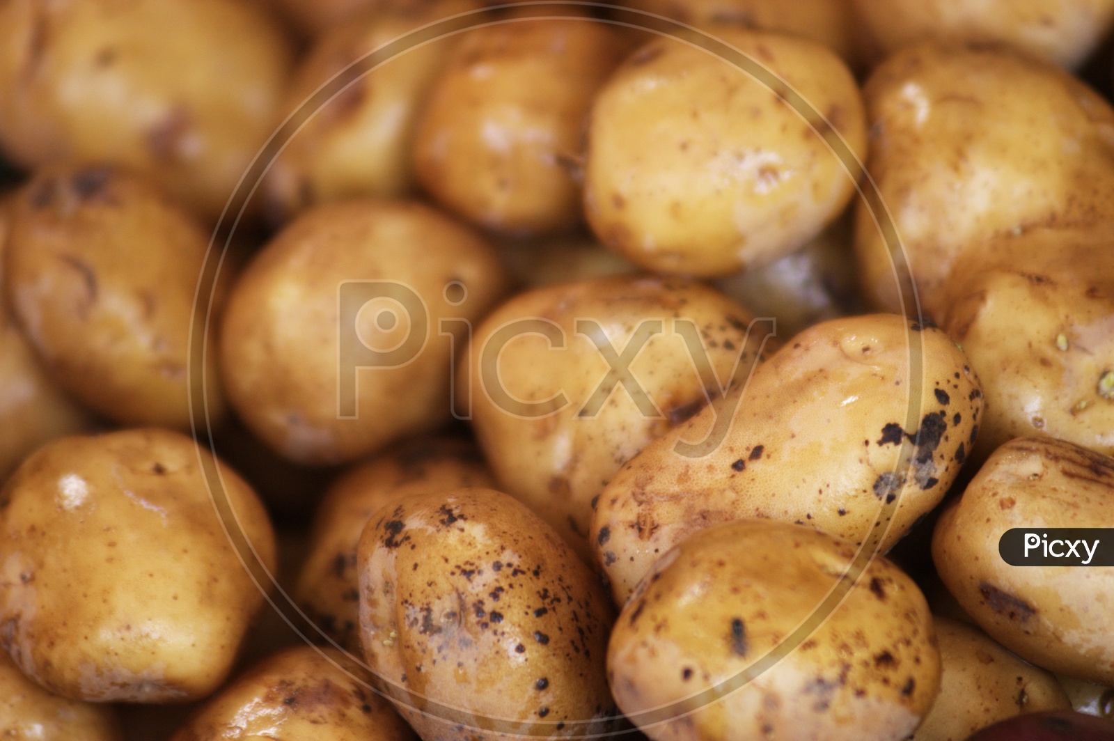 A set of potatoes