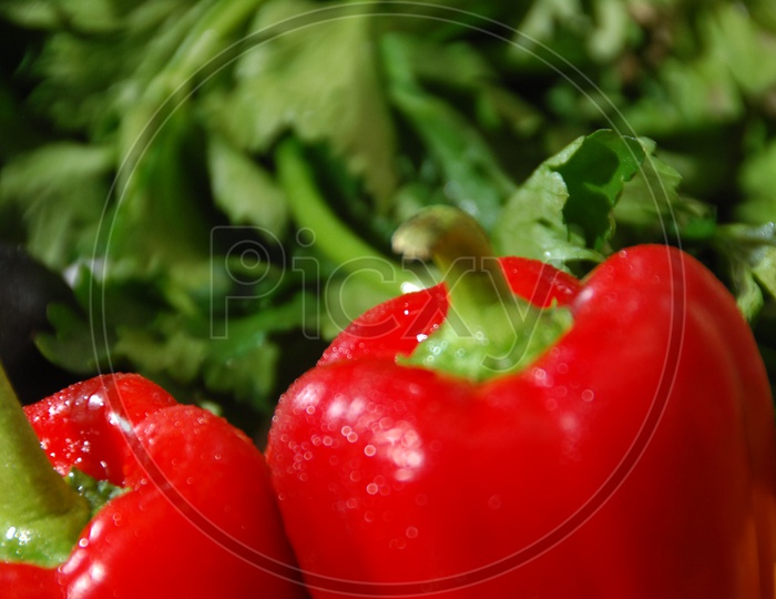 Red bell pepper and coriander