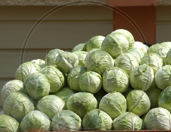 Bunch of cabbages
