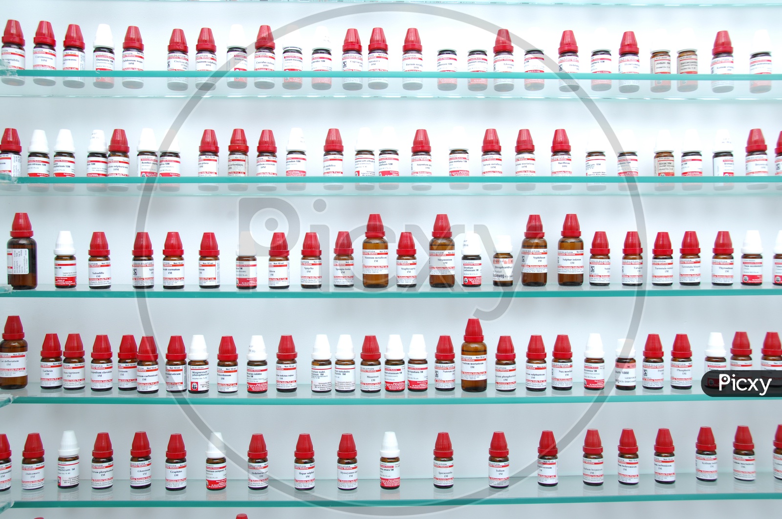 Homeopathy Medicine Bottles in Racks In Pharmacy