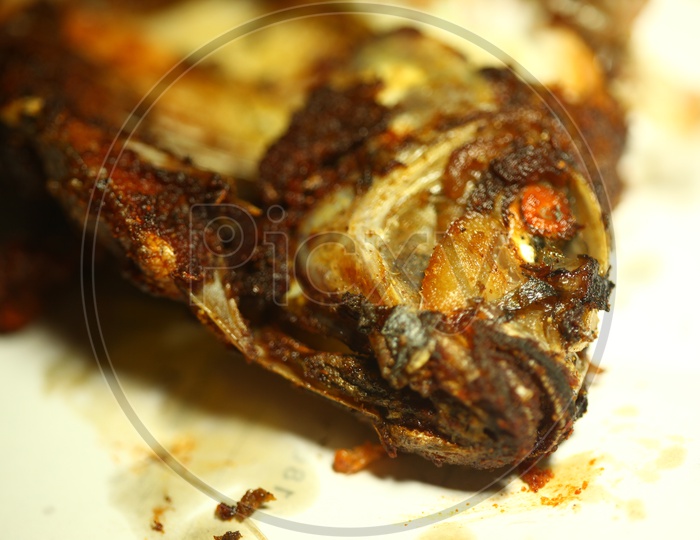Close up shot of a fried fish