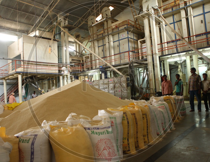 A big rice heap lined with rice bags and men workers inside a rice mill