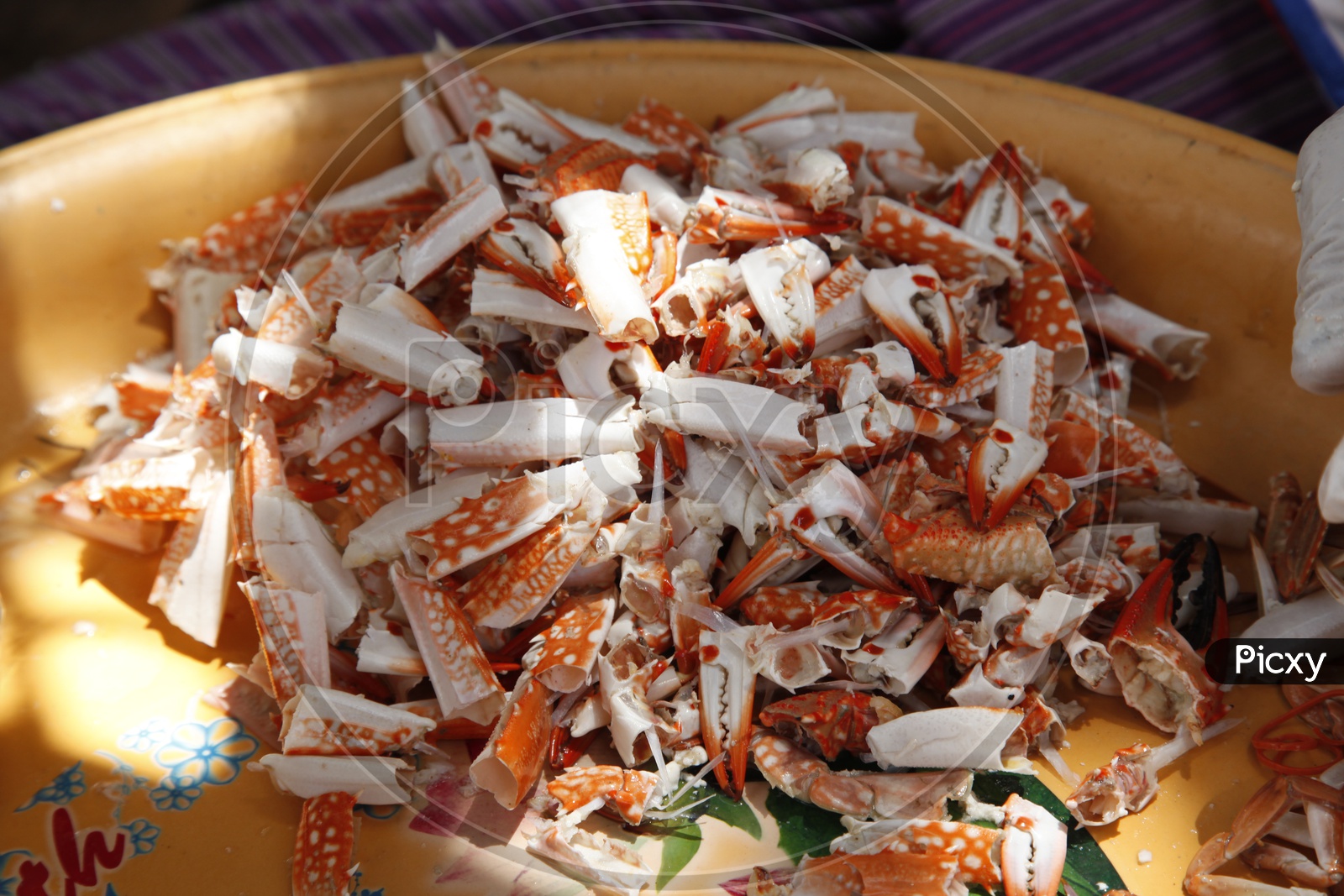 Crab Shells remains in a Plate