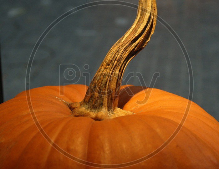Top part of pumpkin
