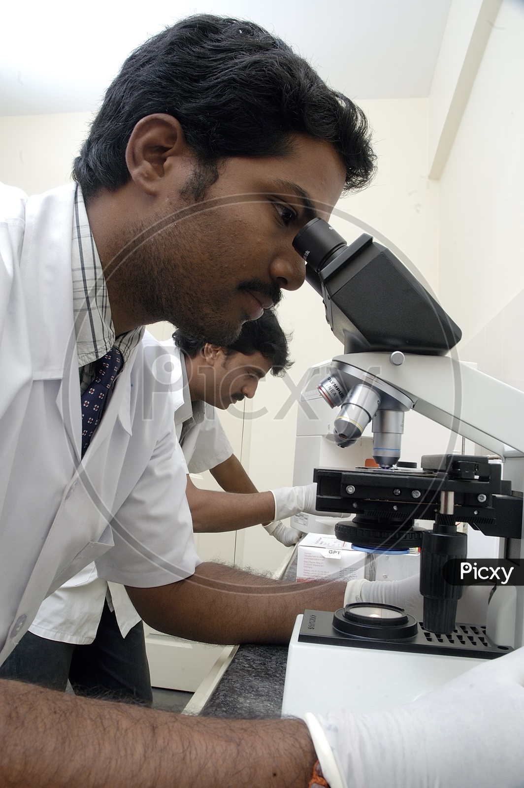 Technicians In Blood Test Labs Using Microscopes