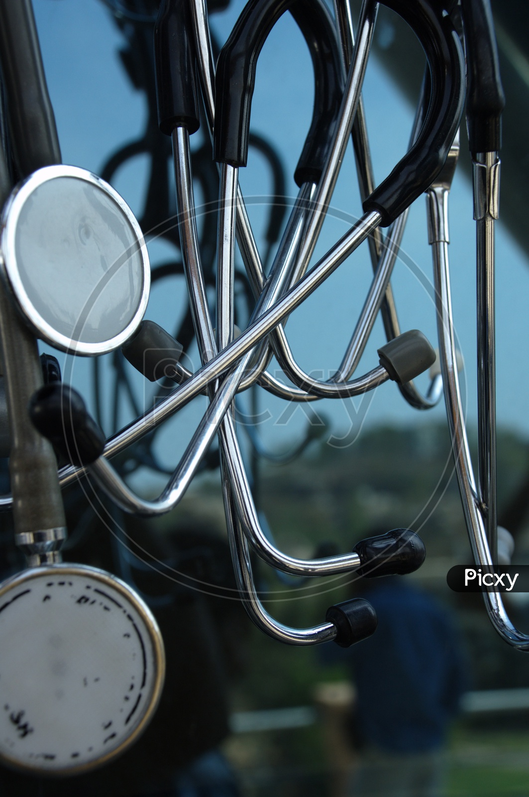 Photograph of stethoscopes hanging