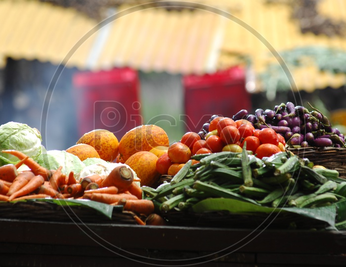 Various kinds of vegetables on a bench