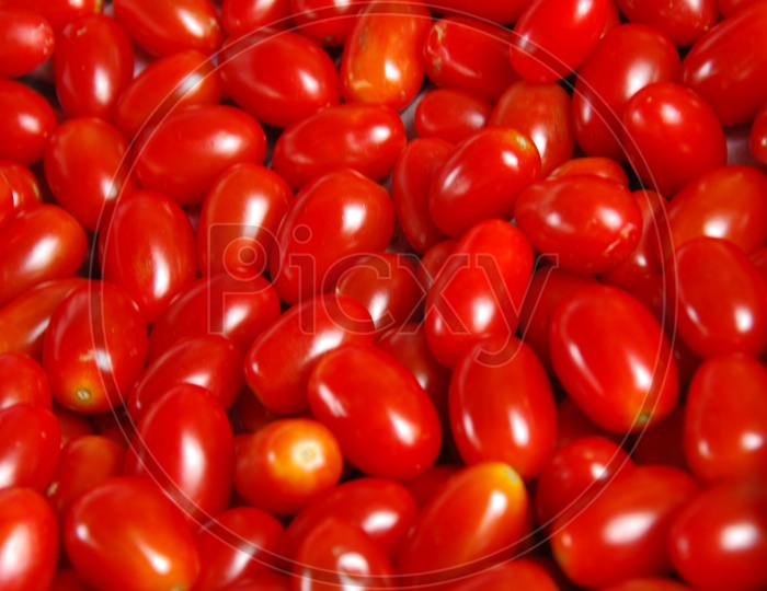 Red hybrid tomatoes