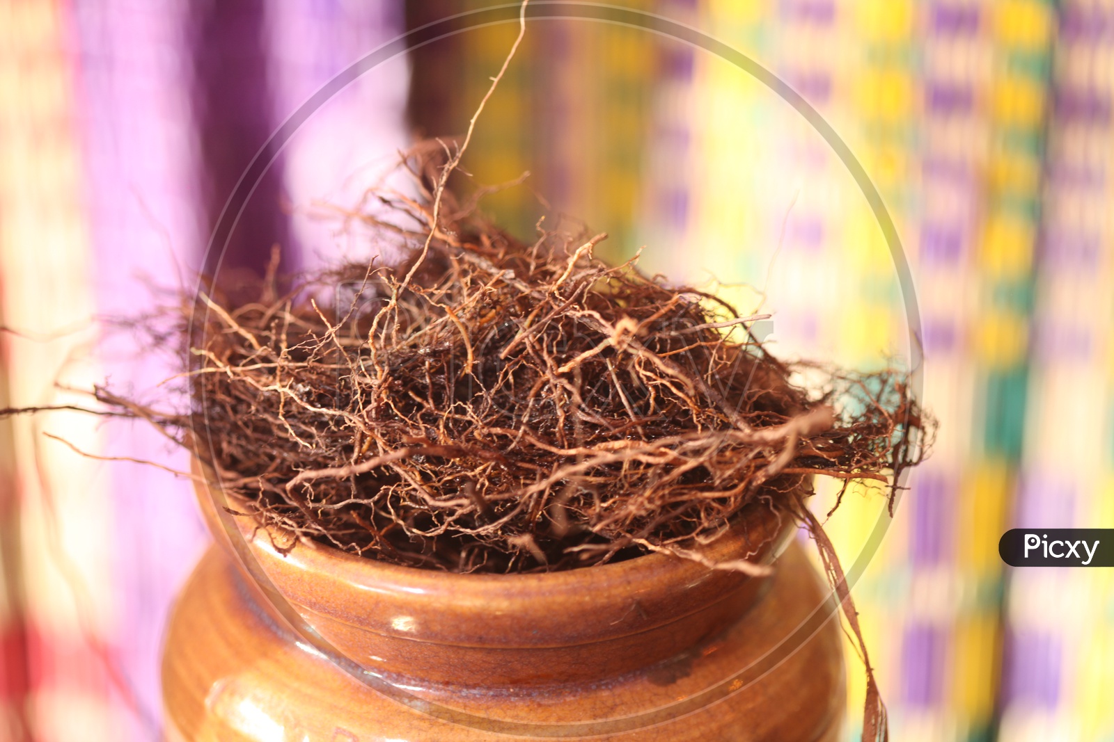 Medicinal Ayurvedic roots in  a jar