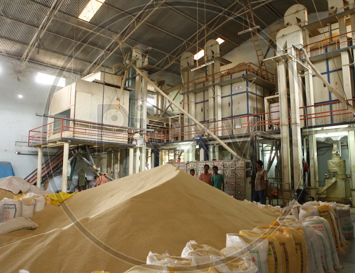 View of a big rice heap lined with rice bags, machinery and men workers inside a rice mill