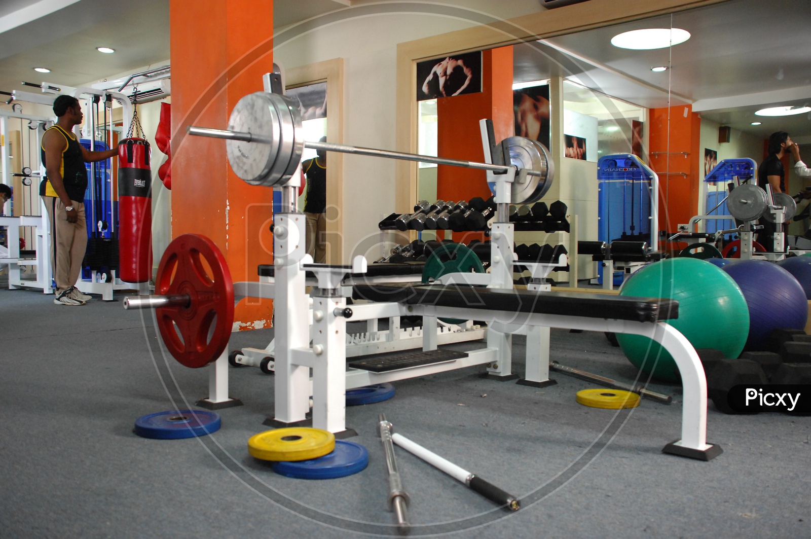 Fitness and strengthening equipment in the gym - weight lifts