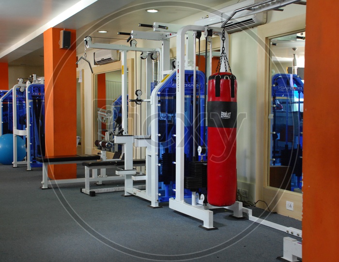 Fitness and strengthening equipment in the gym - boxing bag