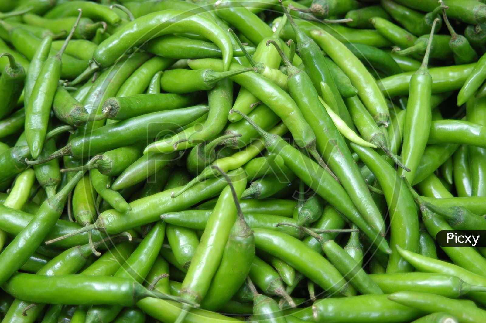 A bunch of green chillies