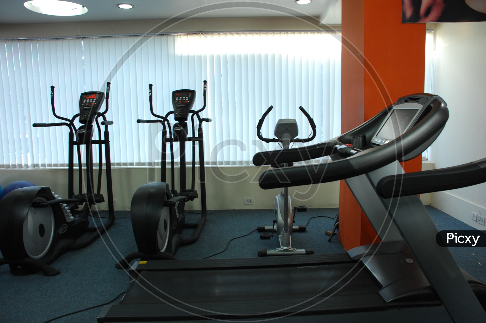 Fitness and strengthening equipment in the gym - Treadmills and cycles