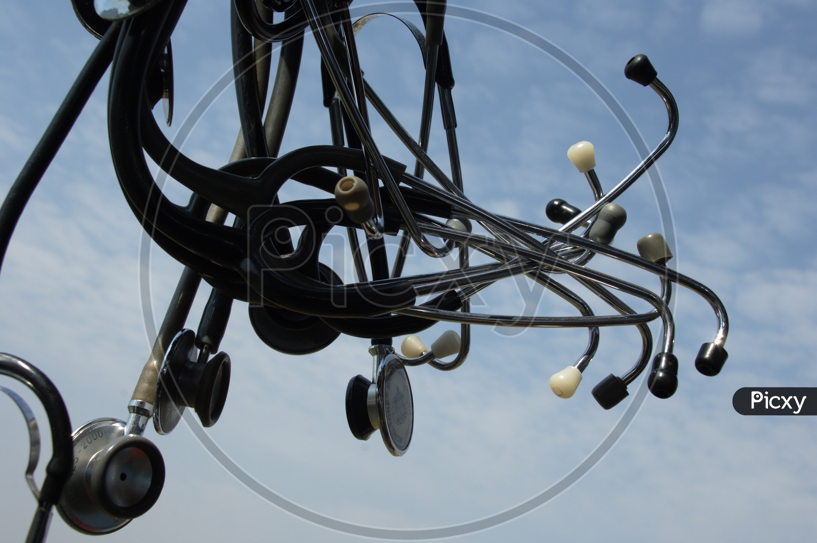 Photograph of stethoscopes hanging