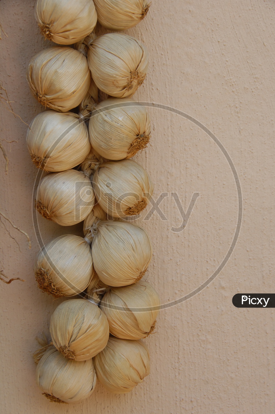 Garlic braids against a light textured wall background