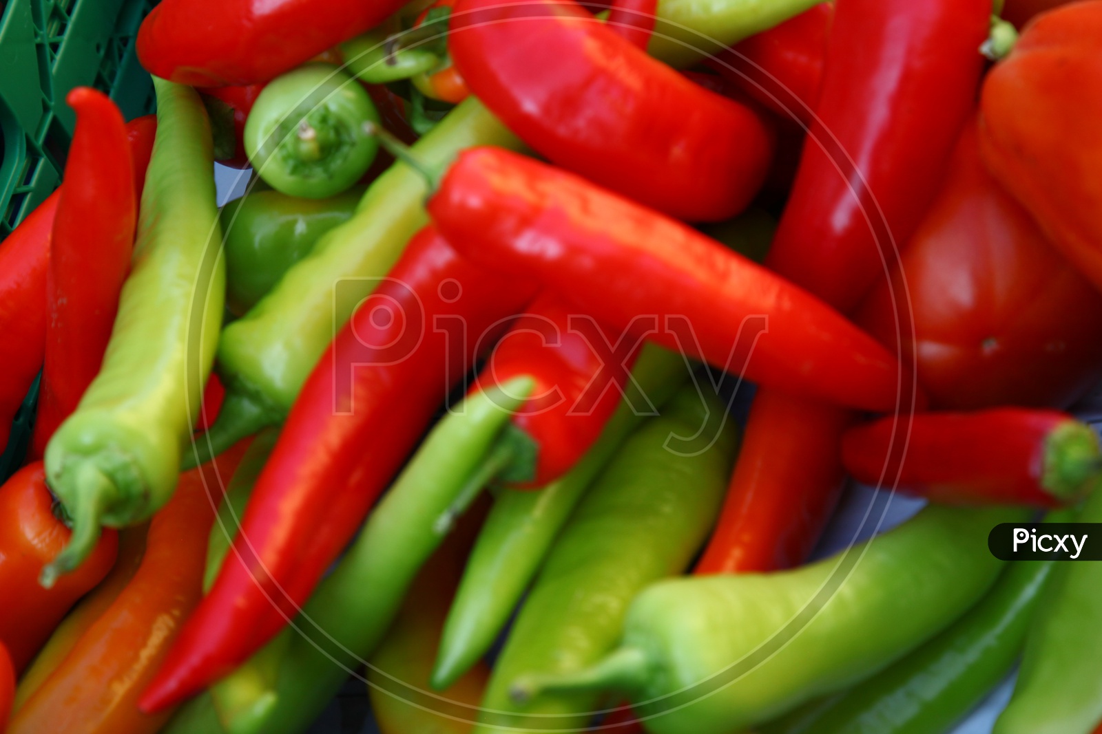 green and red chillies