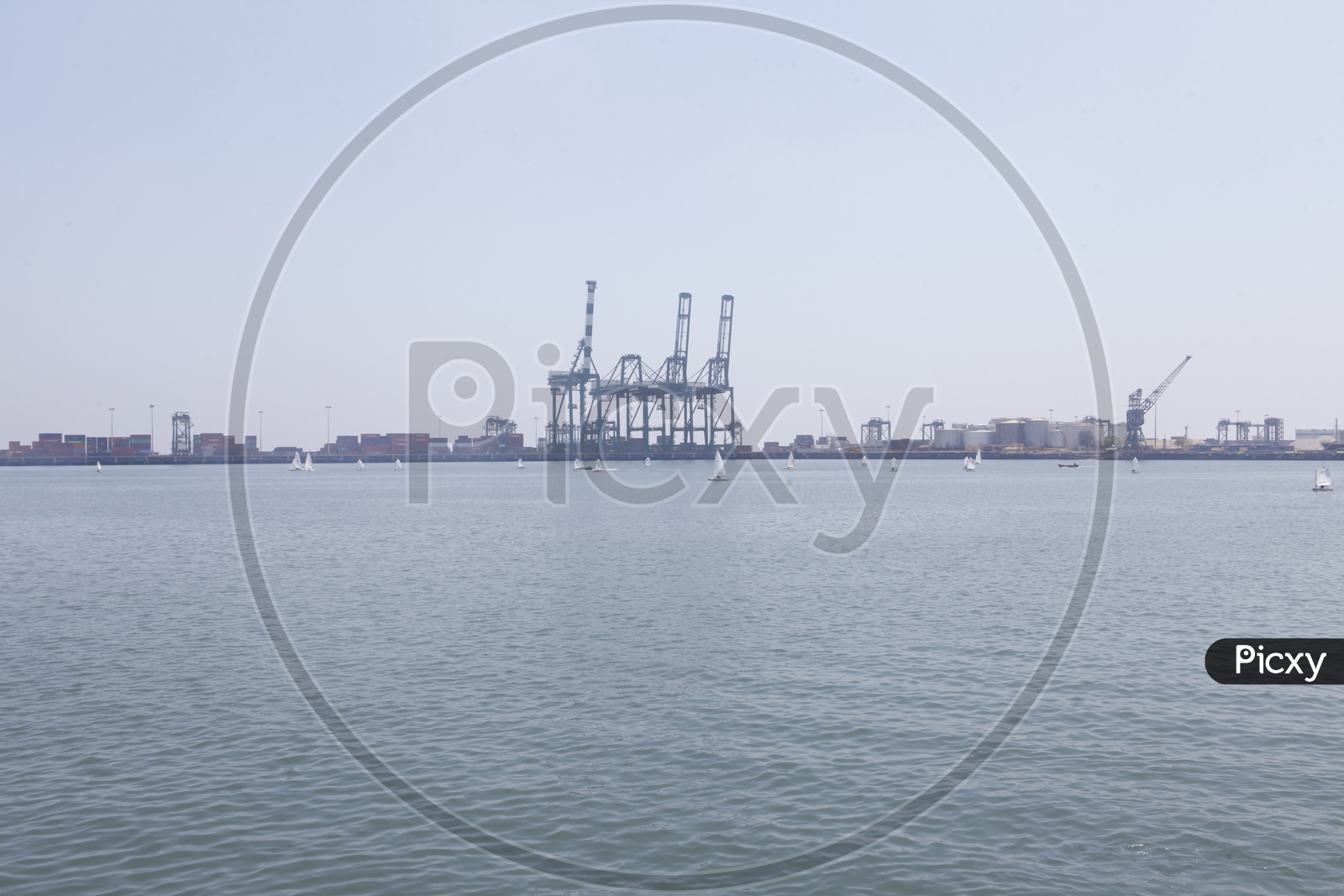 Cranes in harbor