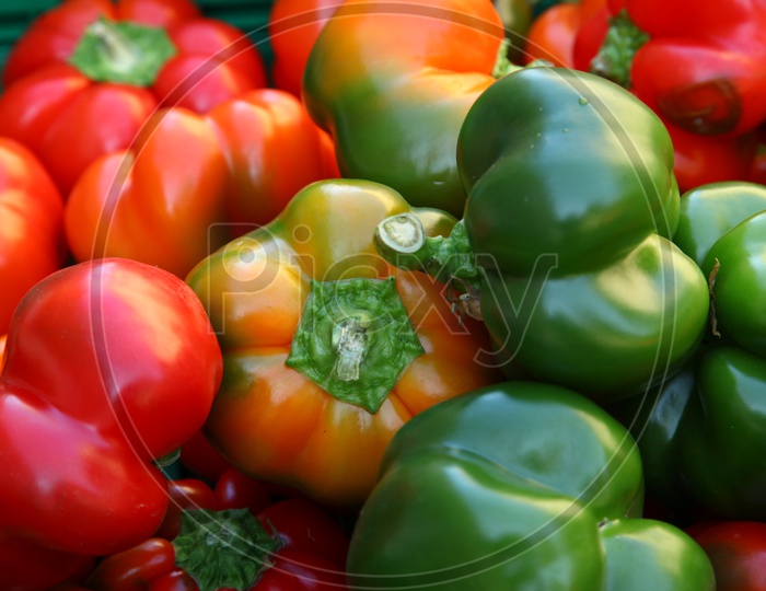 red, green, orange bell peppers
