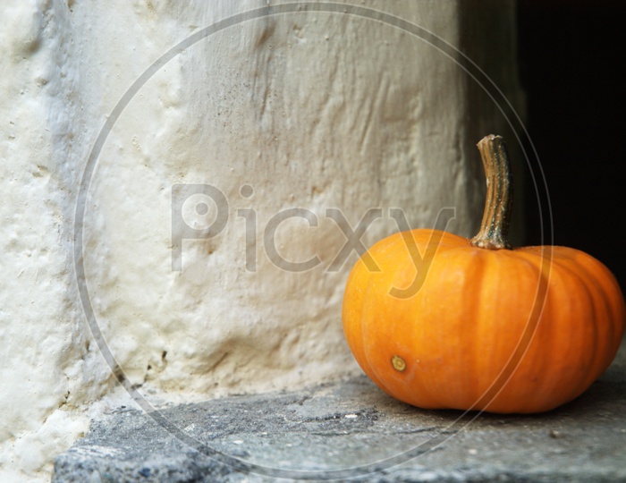 Pumpkin on a stone