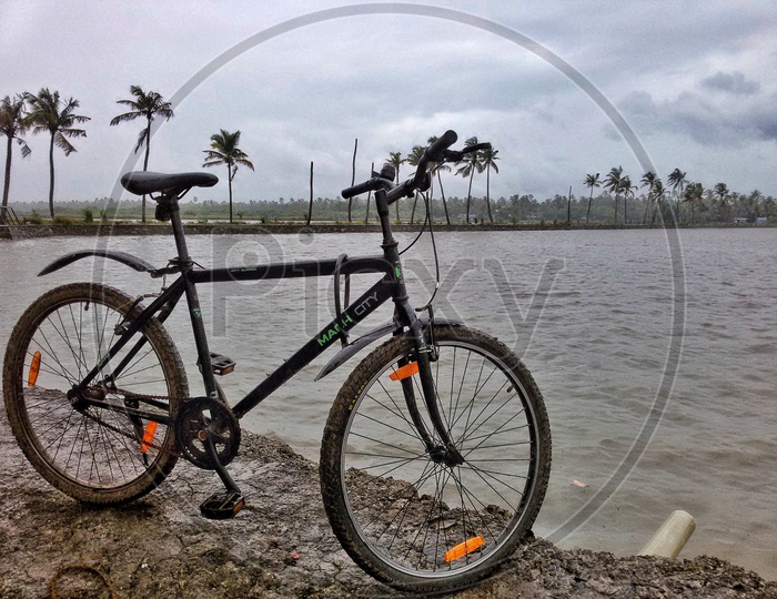 A bicycle near the backwaters