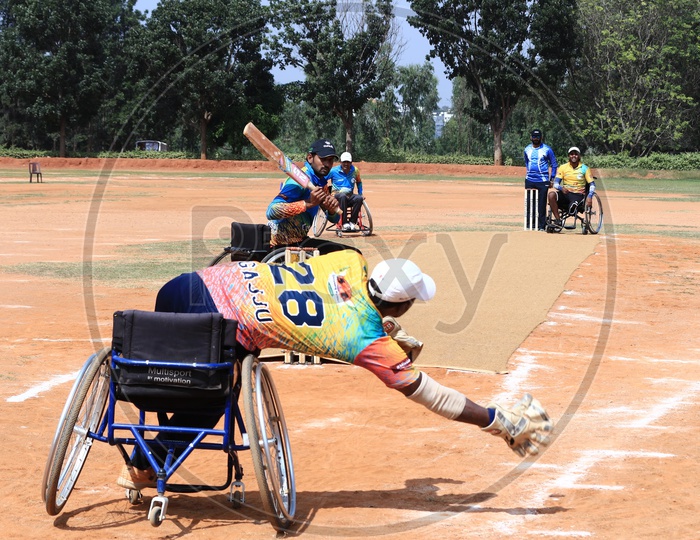 Wheelchair Cricket