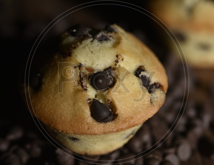 Muffin with chocochips
