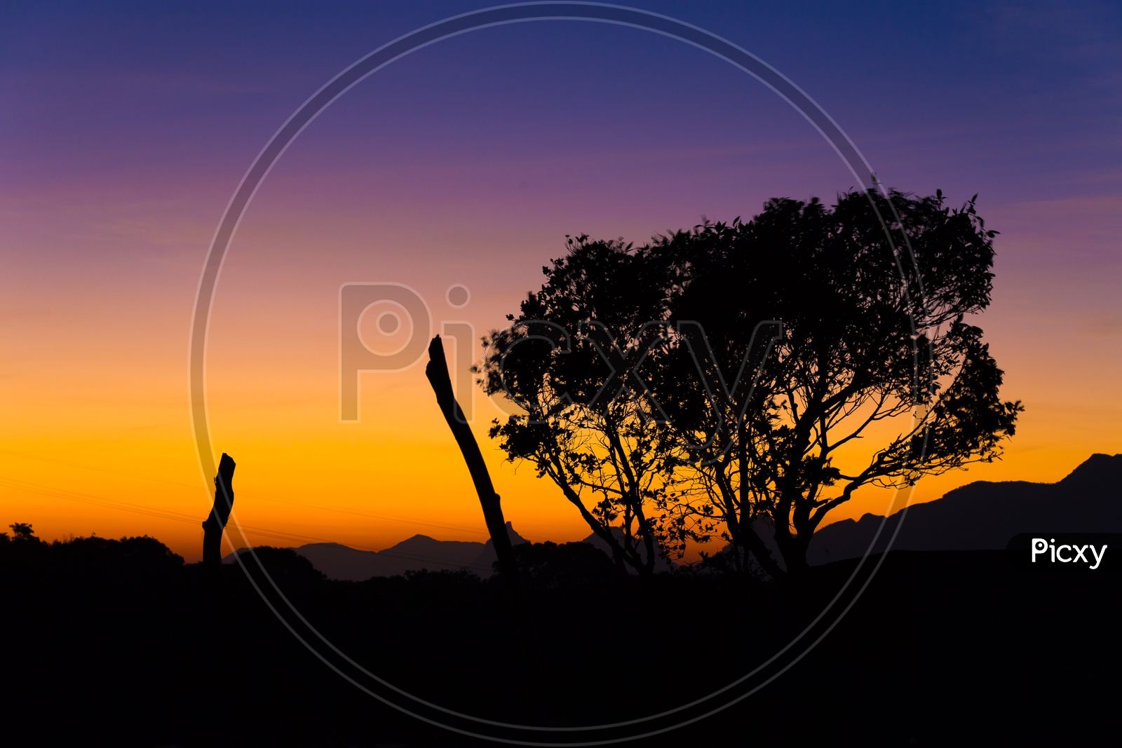 Silhouette of a Tree On a Hill top With Golden Hour Sky