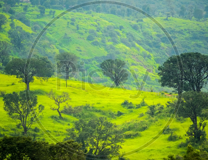 Green Plateaus With Trees And Greenary  on Western Ghats