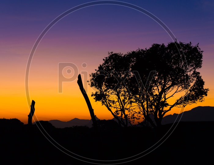 Silhouette of a Tree On a Hill top With Golden Hour Sky