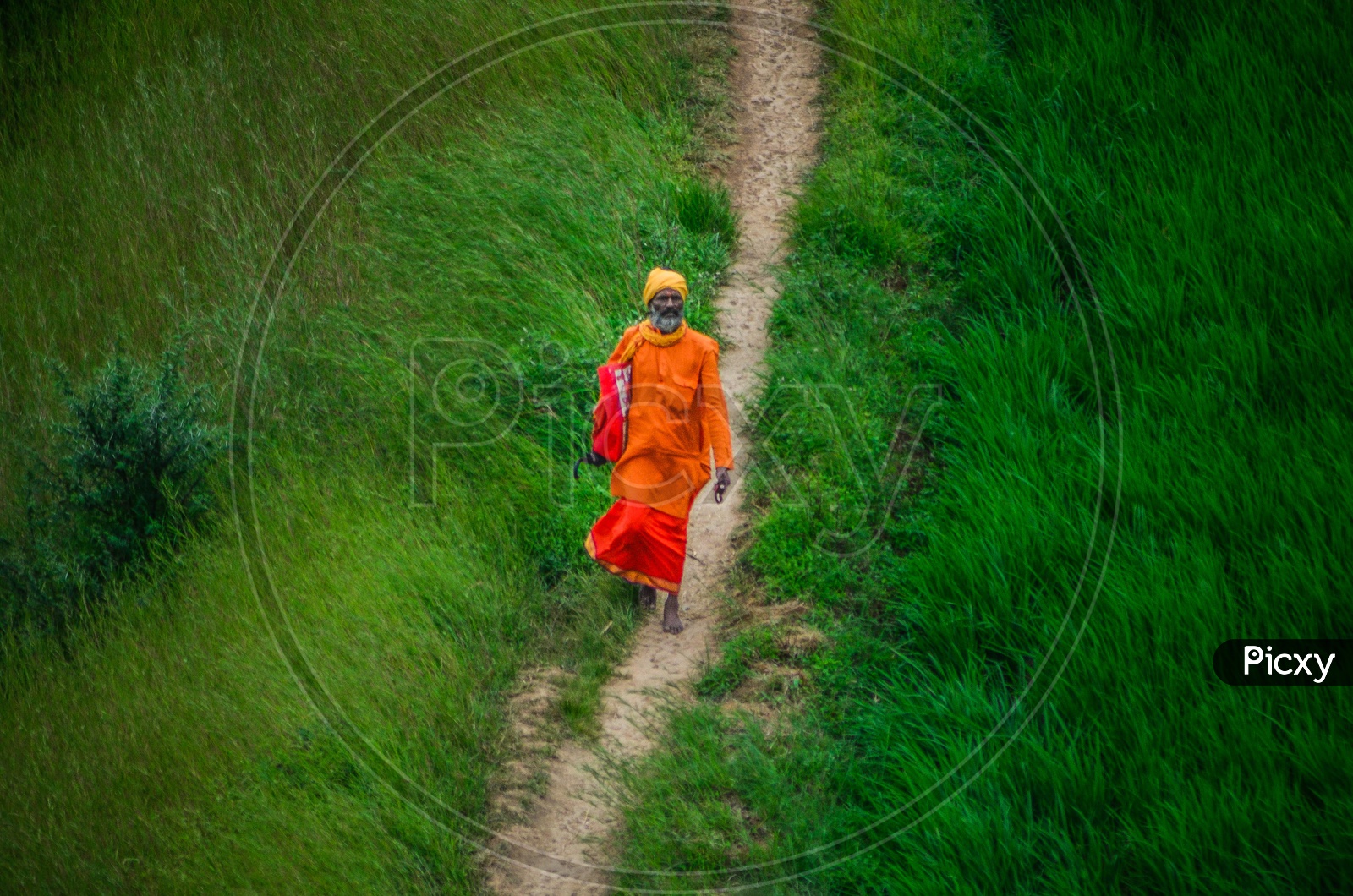 Indian Hindu Sadhhu Or Babas Walking Along The Pathways In Green Plateaus Of Western Ghats