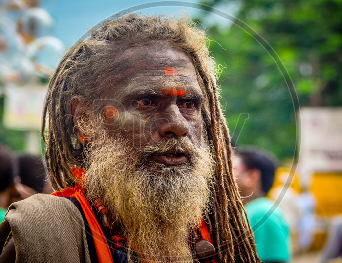 Portrait of Indian Baba Or Sadhu
