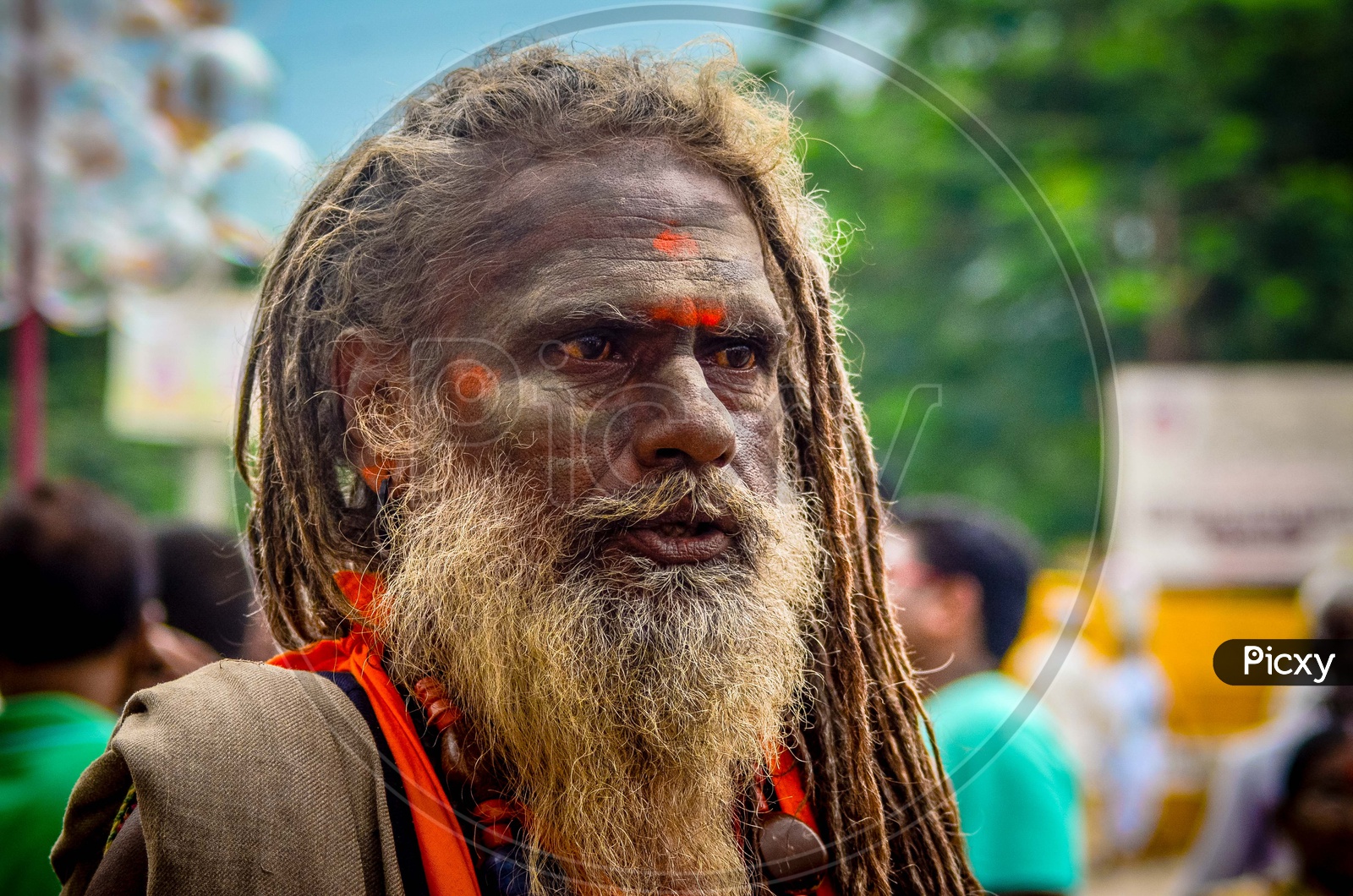 Portrait of Indian Baba Or Sadhu