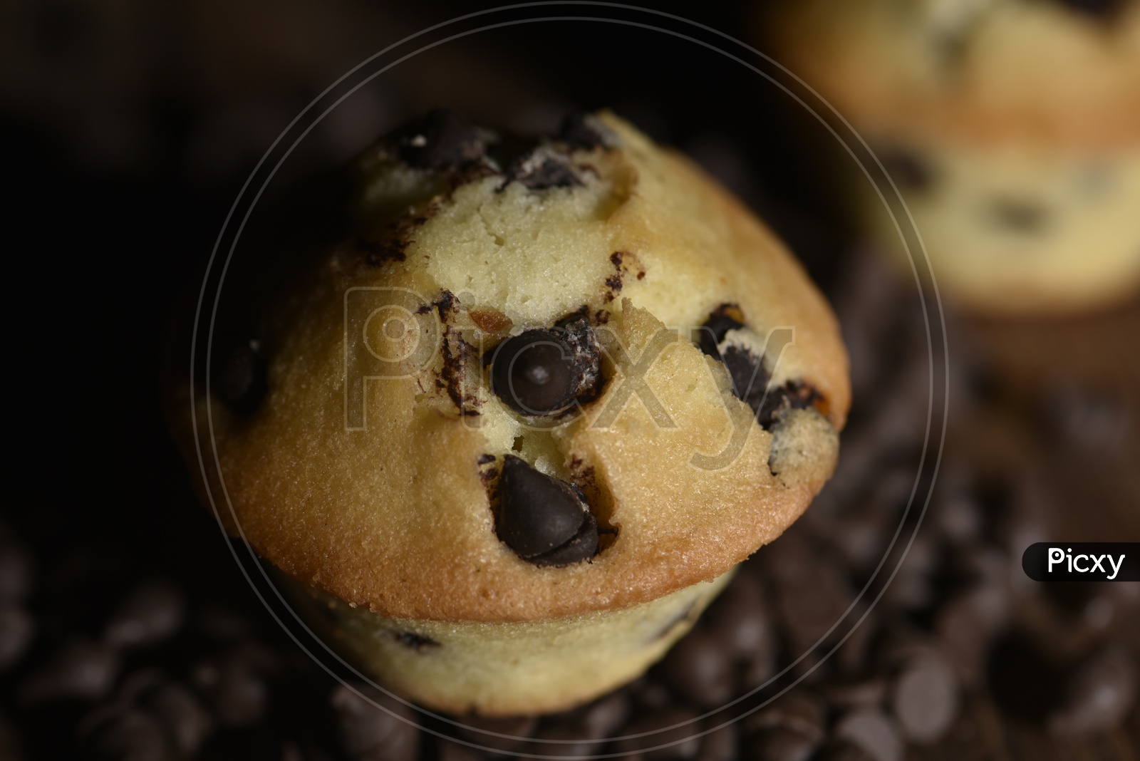 Muffin with chocochips