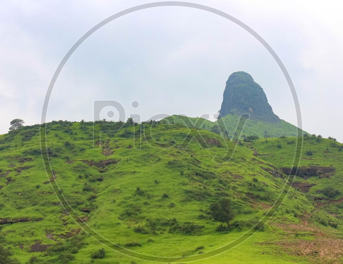 Green Plateaus Of Western Ghats
