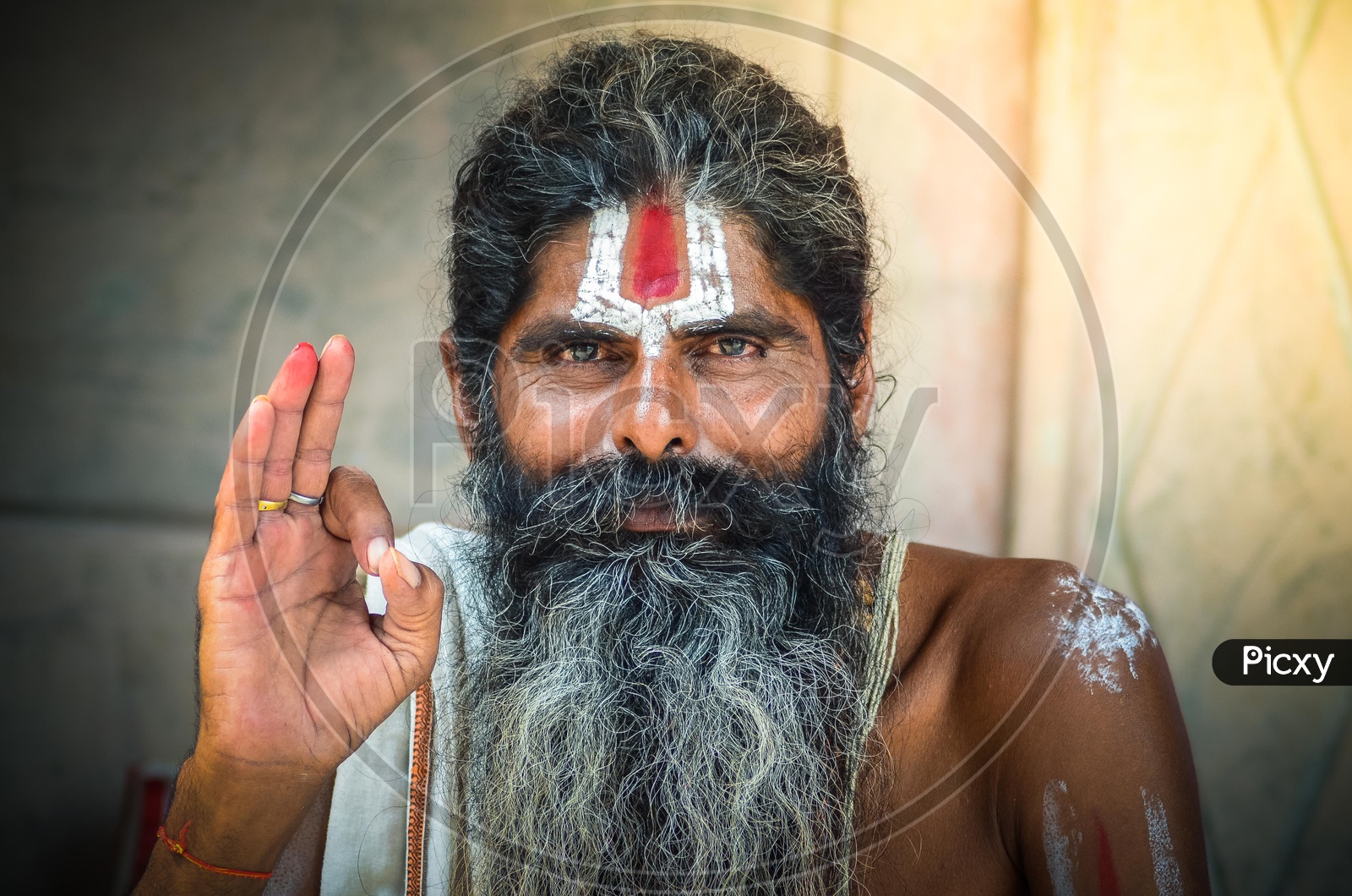 Portrait of a Indian Hindu Sadhu or Baba