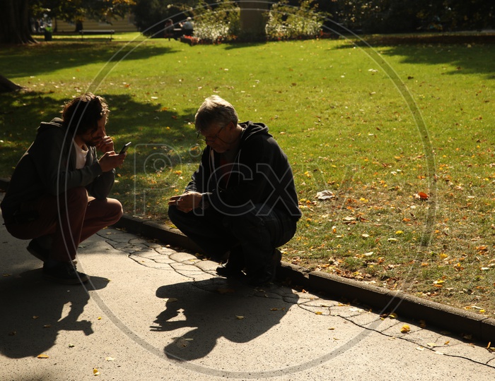 Two men checking their mobile phone in a park