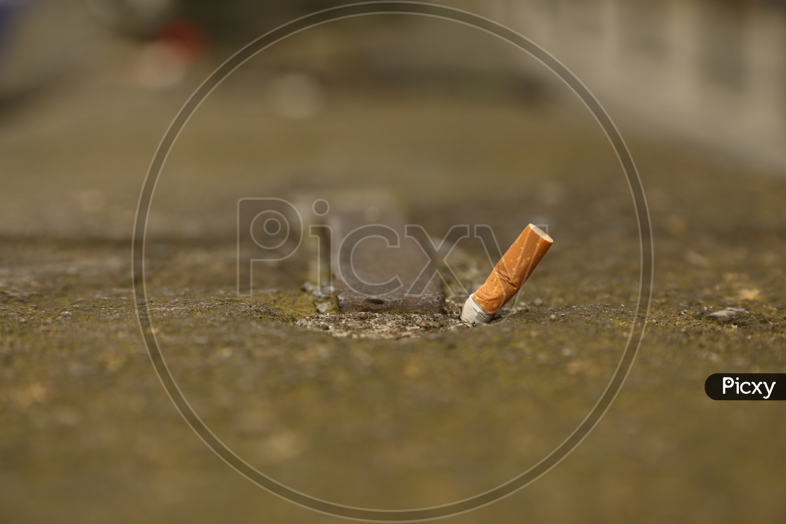 cigarette bud or but Image of Cigarette bud on the road-UW416213-Picxy