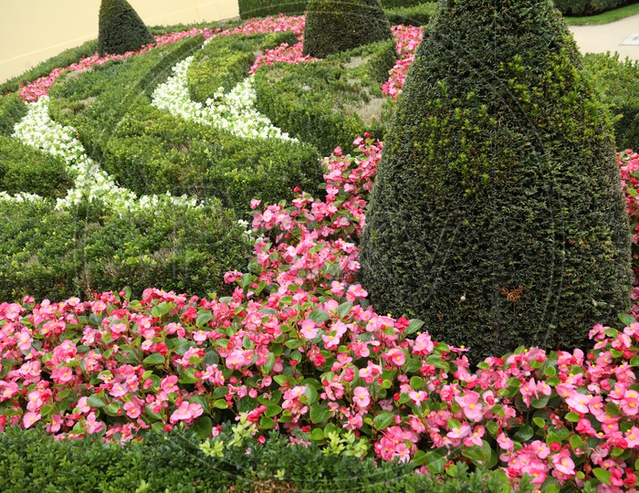 Garden with pink flowers