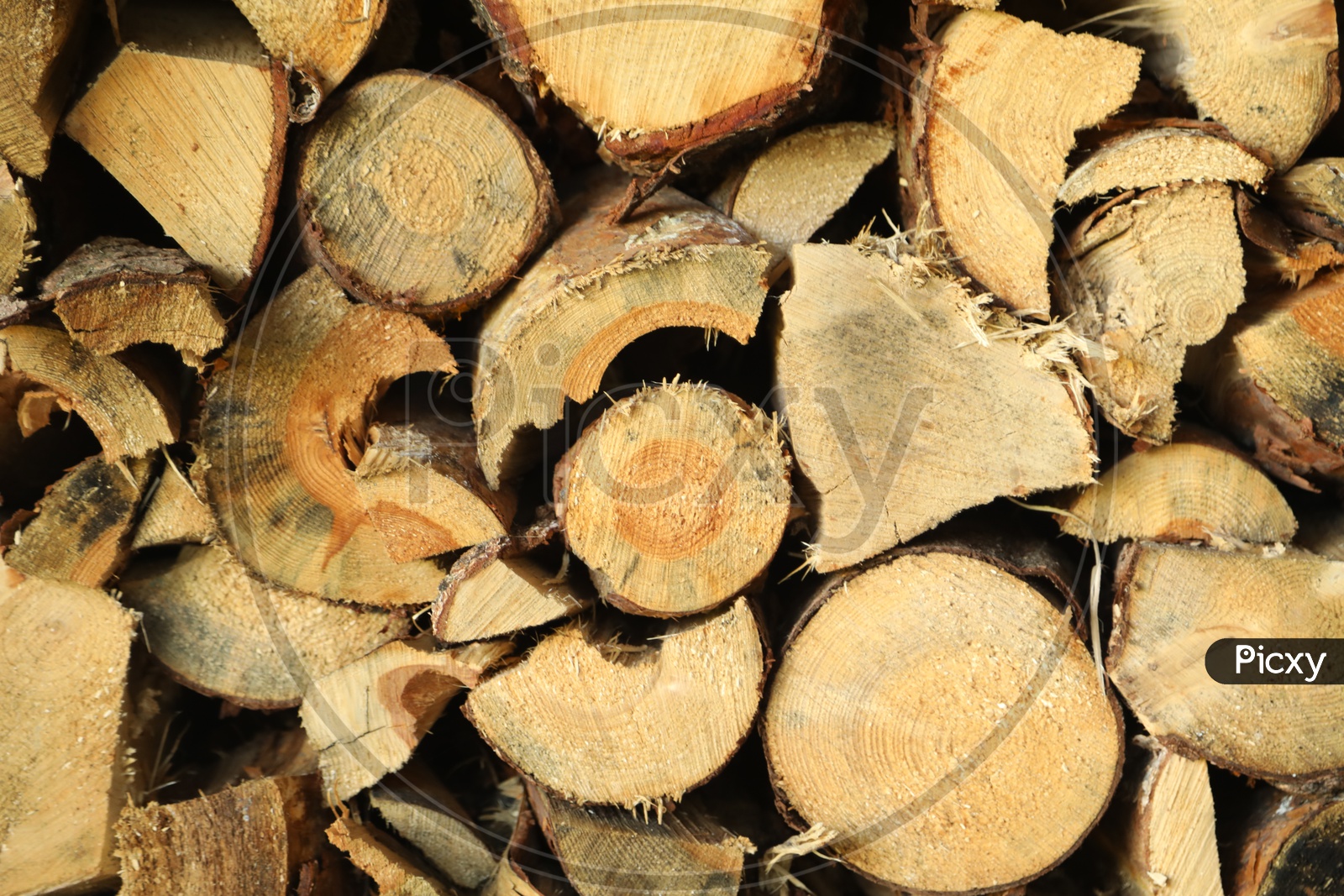 Wood Logs in a Saw Mill Closeup Shots With Patterns Representation