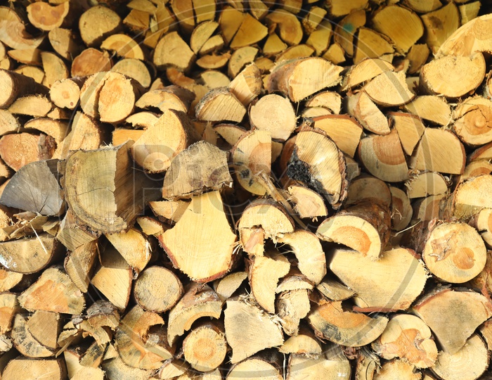 Wood Logs in a Saw Mill Closeup Shots With Patterns Representation