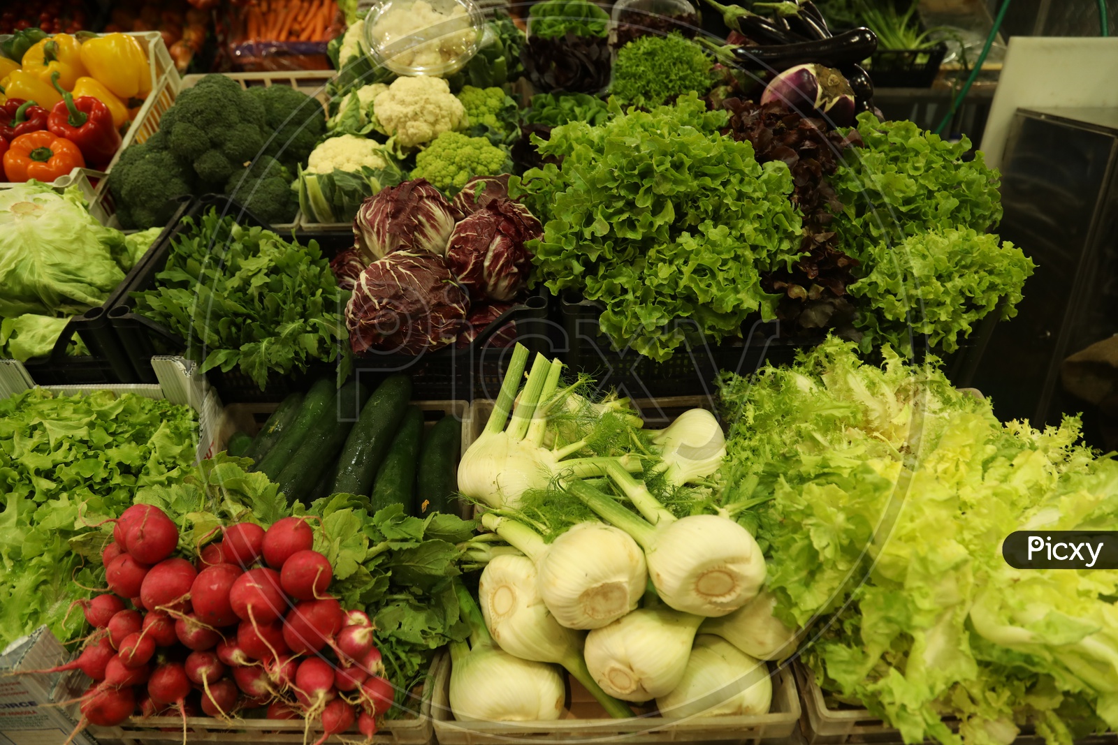 Vegetables in  Baskets In a Supermarket